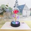 Rose artificielle rouge colorée, décoration de mariage, cadeau créatif pour la Saint-Valentin, la fête des mères, rose lumineuse dans un plastique