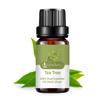 10ml Meridian Dredging Oil Easy To Absorb Deep Cleanse Repair After Sun Shrink