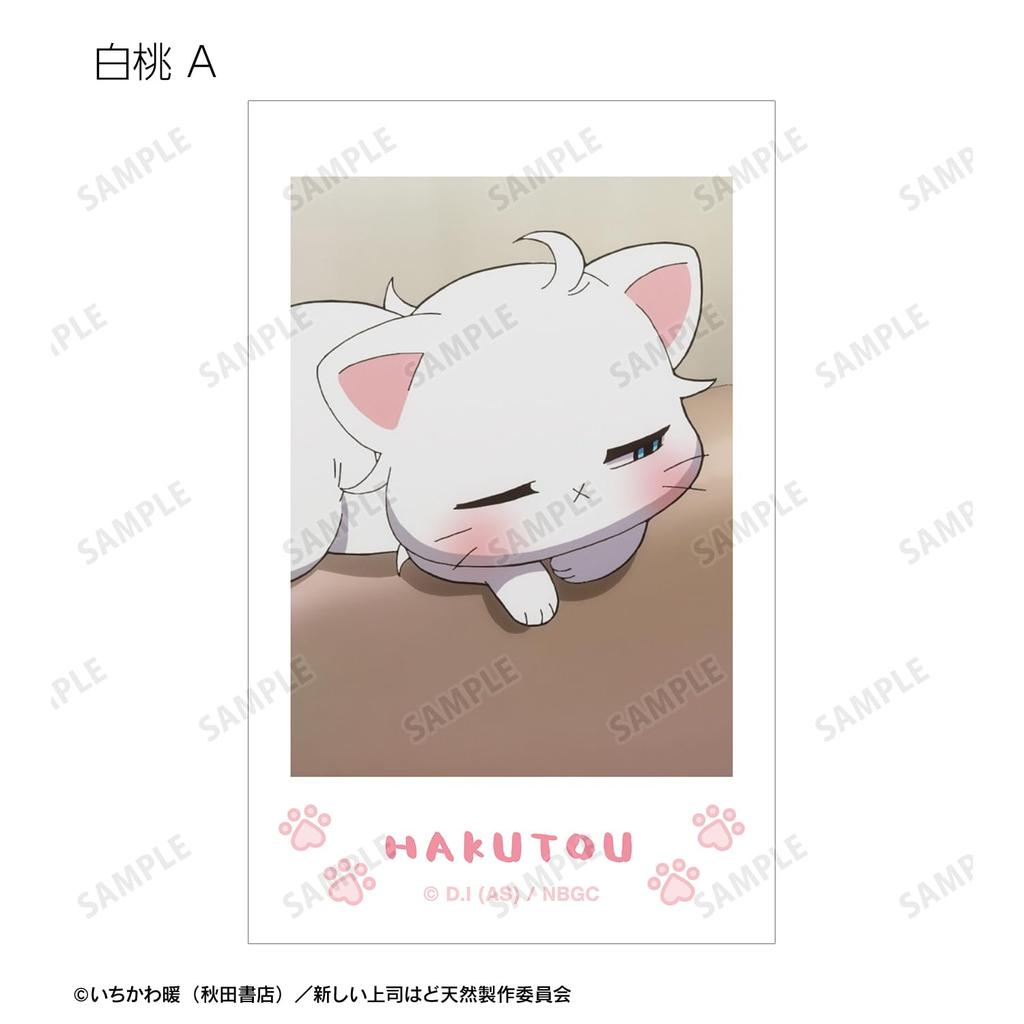 New Boss is a TV Anime Trading White Peach Instant Camera Style Illustrated Box of 20 "My Natural" Cards, Only, Stills,
