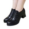 Single Shoes Women's Spring and Autumn New Thick Heel Pointed Small Leather Shoes Side Zipper