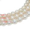 [Your and My Jewelry Box] Pearl Necklace, Akoya Pearl Necklace and Earring Set  White Color 10mm 42cm Earrings Made In Japan [Gift Wrapped]