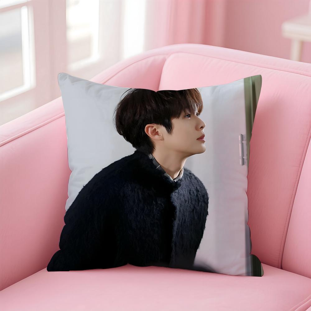 Talented Korean Actor CChoi Wooshik Cushion Cover Pillowcase Short Plush Invisible Zipper Room Sofa Cushion Cover