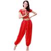2Pieces Belly Dance Costume Set Coins Top Lantern Pants Set Halloween Costume Belly Dance Outfits for Dress Up Party