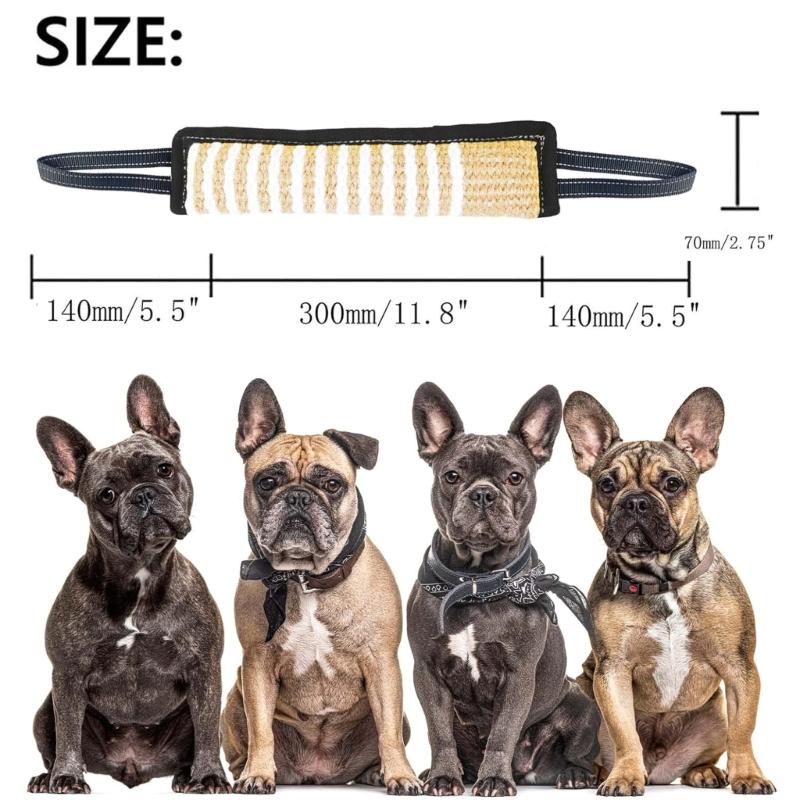 Dog Molar Toy with 2 Handles Tossing Teething Game Toy Reflective Pillow