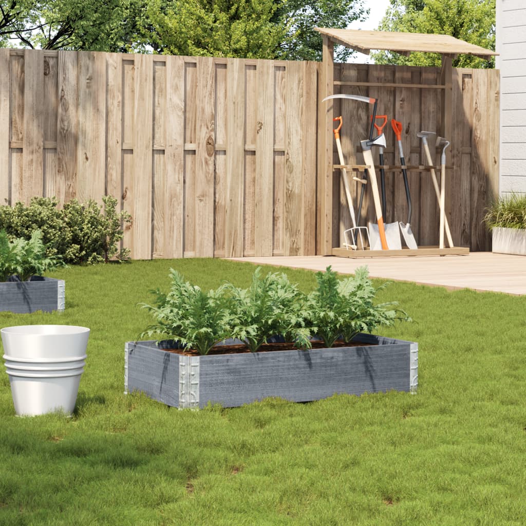 Plant Box Gray 100x50 Cm Solid Pine Wood