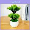 Plastic Artificial Green Plant With Double Layer Feathery Foliage For Home Decor And Office Display