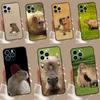 Animal Capybara Case For iPhone 15 16 11 13 12 14 Pro Max Mini X XR XS 7 8 Plus Back Cover Shell