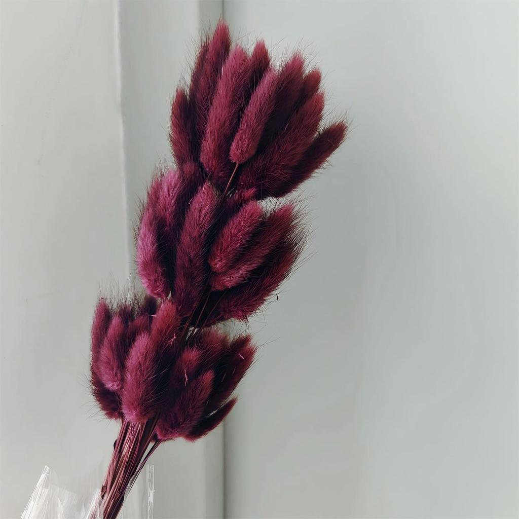 Yunnan Dried Flowers Bouquet - Rabbit Tail Grass