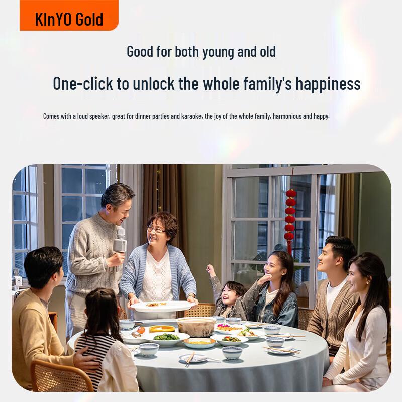 KINYO KTV Wireless Microphone Speaker System