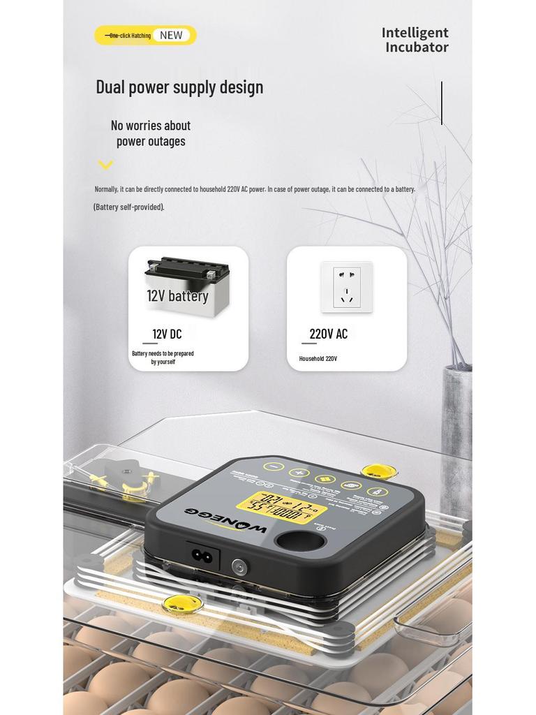 48-Egg Automatic Incubator with Auto-Turning and Humidity Control for Home Use