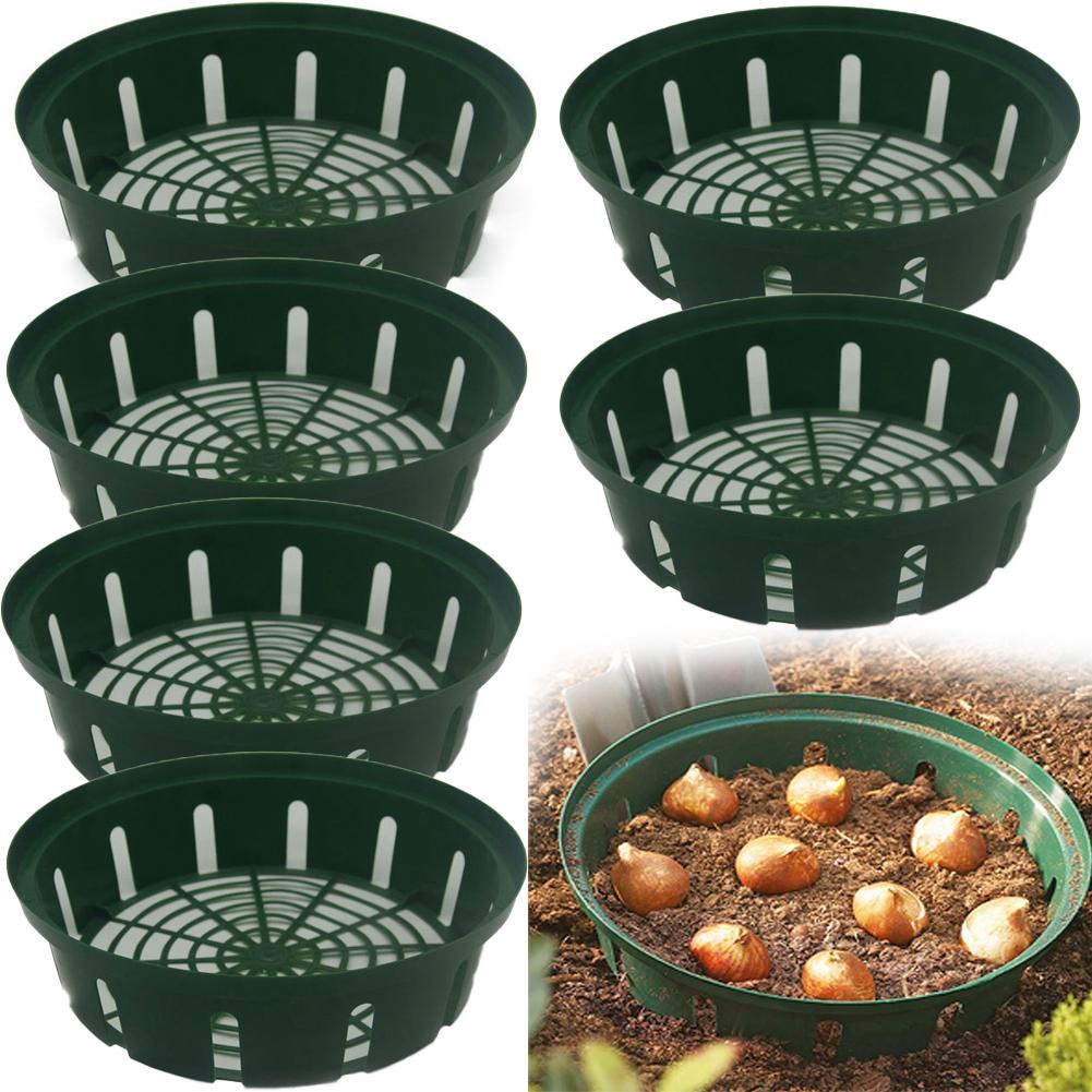 

26*22*6.5cm Flower Bulb Basket Flower Bulb Planting Basket Plastic Gardening Basket Ample Size Convenient Gardening