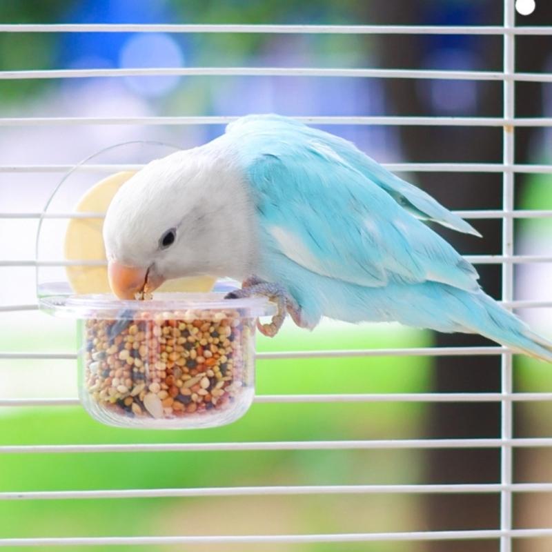 Bird Bowl Training Cup Feeding Bowl Parrots Cage Toy for Cockatiels Budgies Parrots Gym Toy Feeding Cup