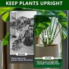 Yousheng 3Pcs/Set Plant Stem Holder Grapple Stem Support Reusable Monstera Clamp Support for Climbing Plants Leaves Stabilization Stems Support