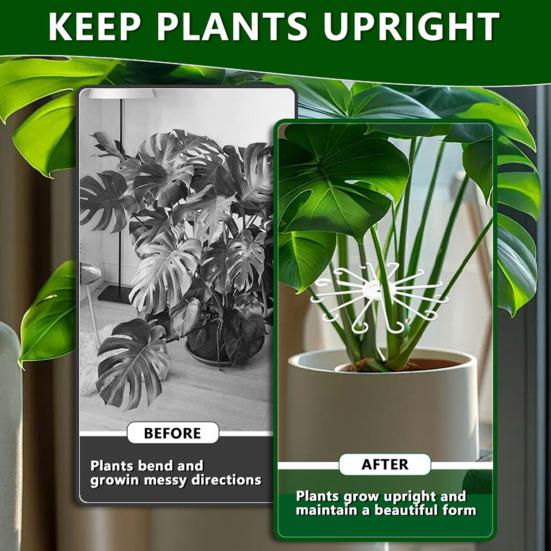 Yousheng 3Pcs/Set Plant Stem Holder Grapple Stem Support Reusable Monstera Clamp Support for Climbing Plants Leaves Stabilization Stems Support