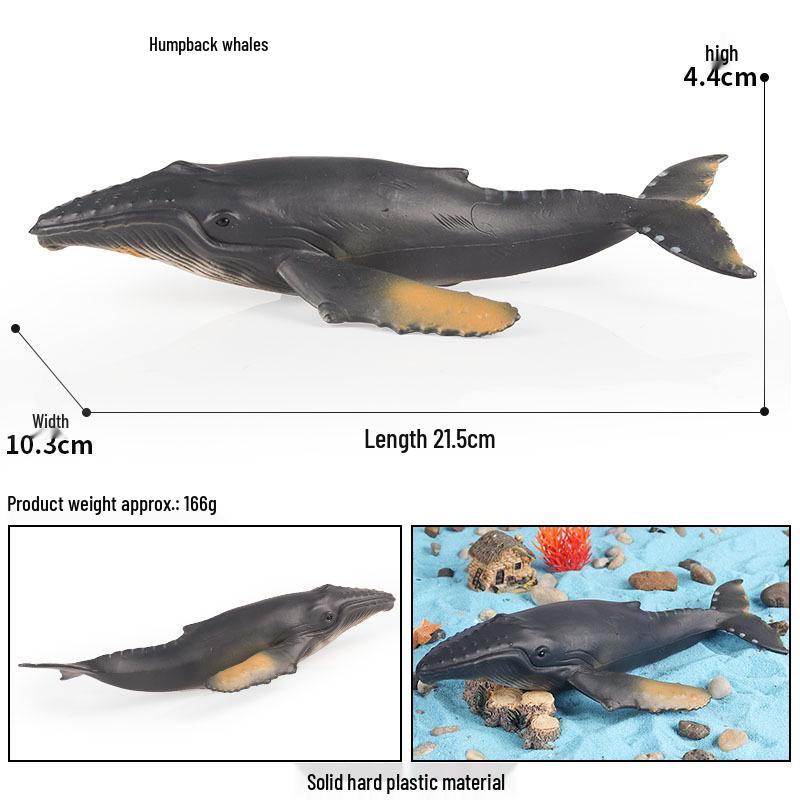 Marine Life Cognitive Toy Set: Sperm Whale, Shark, Bowhead Whale, Blue Whale