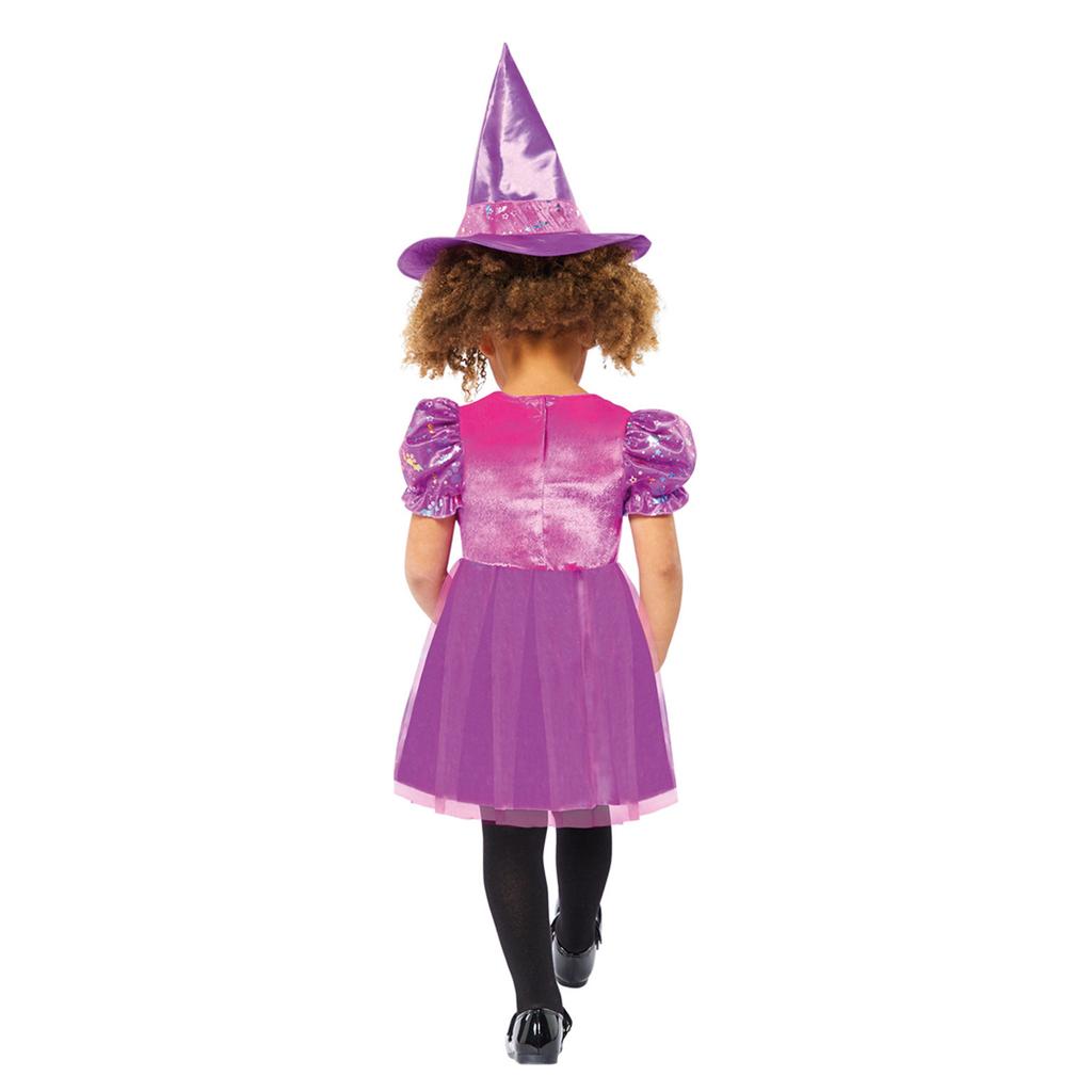 Paw Patrol Girls Skye Witch Costume Set