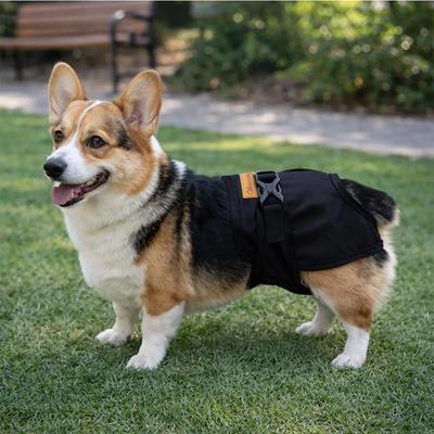 Female Dog Physiological Pants Outdoor Anti Harassment Teddy Pomeranian Corgi Large Medium Small Dogs Diaper Breathable