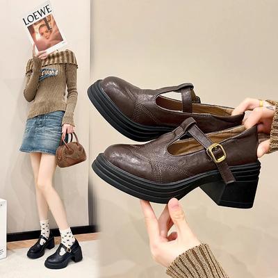 Womens Single Shoes with Anti Slip Round Toe Mary Jane Mid Heels Spring Autumn Outdoor Commute PU Leather Retro Casual Shoes