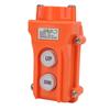Crane Controller AC250V AC500V 5A Easy To Use Rainproof Small UP Down Hoist Push Button Switch