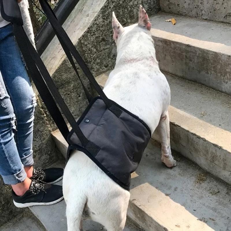 Kjæledyrhund Hjelpebelte Bånd Hjelpefunksjonshemmet Eldre Brystsele Reisebelte Håndtrekk Brystsele