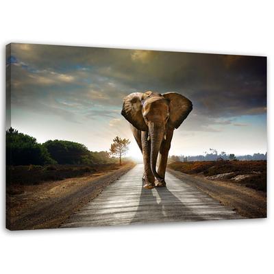 Canvas Print, Wandering Elephant