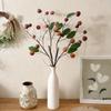 Qiwu Lychee Artificial INS Style Rose and Green Plants for Wedding Decoration Wall Crafts