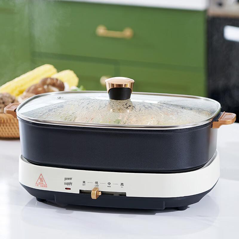 Triceratops Multi-function Electric Hot Pot & Grill