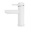 TLXT Stainless Steel Single Handle Basin Faucet