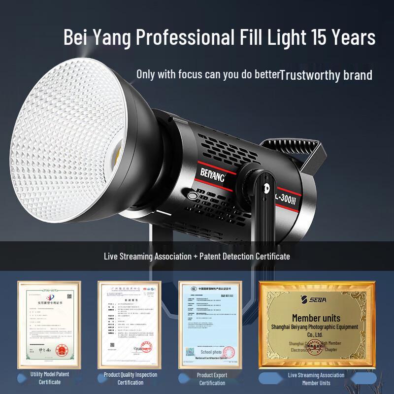 Baiyang 300W COB LED Video Fill Light