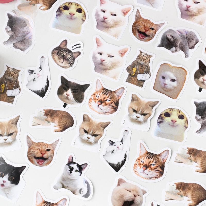 Kawaii Cat-klistremerke Søt jente-klistremerke Kawaii tegneserie prinsesse-pike-klistremerke Nydelig klistremerke for DIY dekorative utklippsbokflaske bagasje