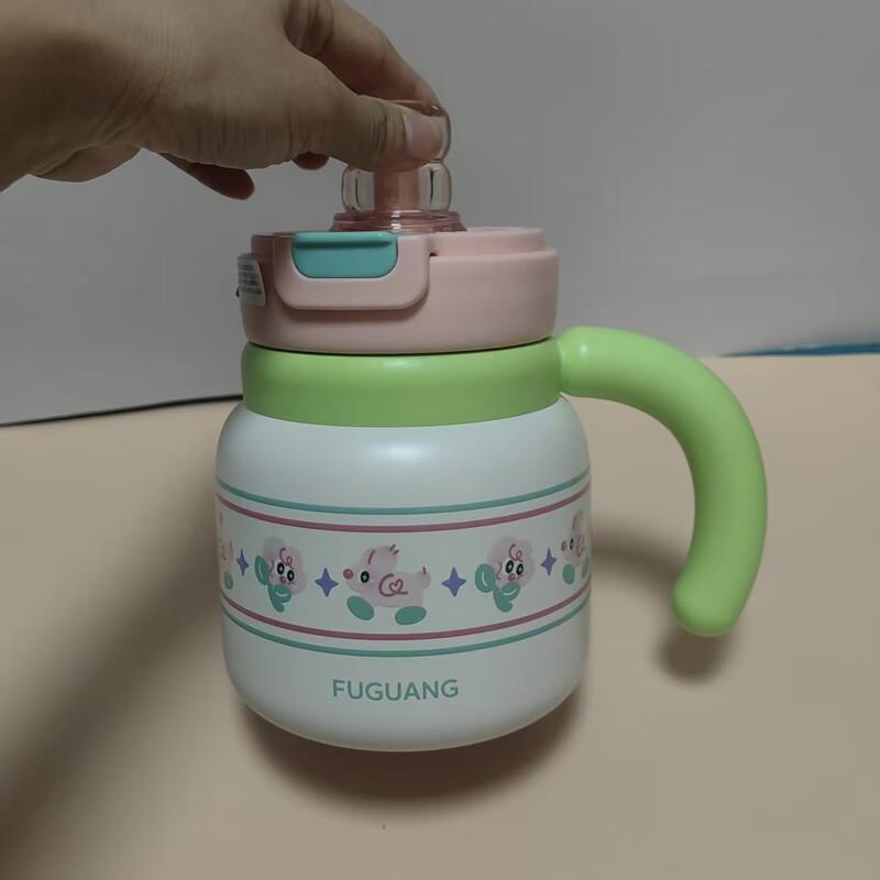 Fuguang Portable 850ml Stainless Steel Insulated Water Bottle