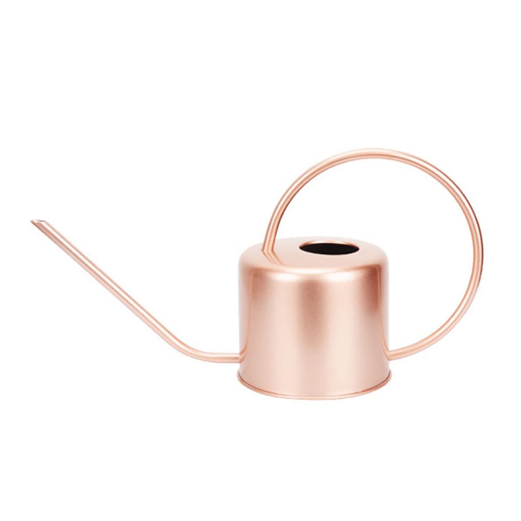 Stainless Steel Long Mouth Water Can Metal Watering Organizer Supplies for Gardening Lover Watering Present Supplies