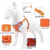 Reflective Dog Cat Harness Vest with Leash Breathable Mesh Padding Adjustable No Pull Pet Vest for Small Medium Dogs and Cats