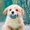 Creative Vibrant Color Squeaky Dog Pete Ball Cartoon Latex Smile Pattern Rugby Dog Toy Bite Resistant Soft Bouncy Grinding Ball Toy