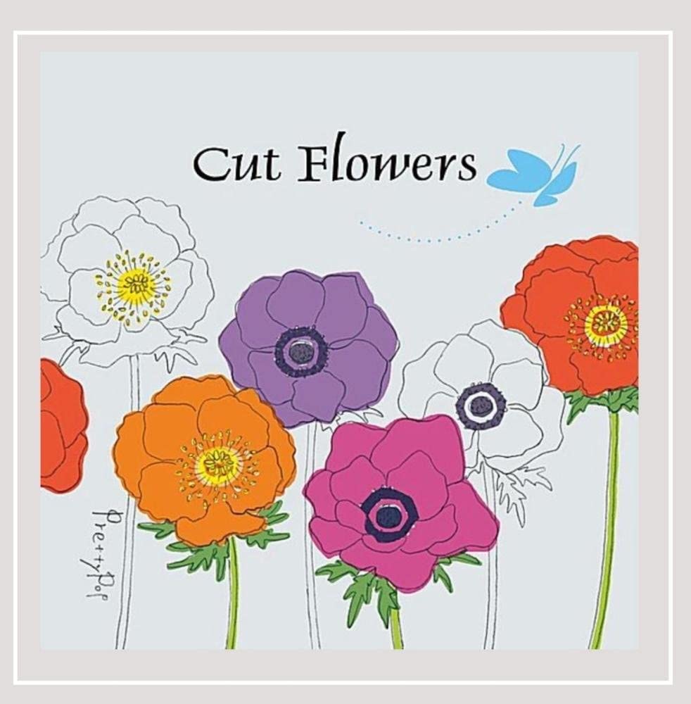 

CD CUT FLOWERS - Cut Flowers Taiwan Pop Used