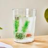 Elegant Transparent Fish Tank with Base Cabinet - Creative Living Room Aquarium Ornament and Artificial Pond Landscaping