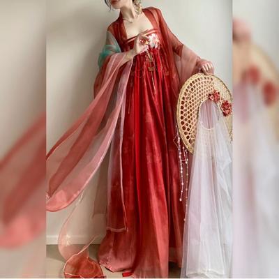 סגנון שושלת טאנג הסינית HE ZI שמלת Hanfu חליפת נשים חליפה רקומה
