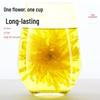 First Village 100 Large Golden Silk Chrysanthemum Tea Flowers