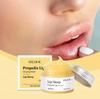 Propolis Sleep Lip Mask for Night Repair, Moisturizing, Diminishing Lip Lines, Removing Dead Skin, and Moisturizing