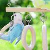 Wooden Parrot Ladder with Hook Bird Perch Swing Stand Toy Parakeet Loop Tunnel  Small Birds