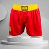 Breathable Quick Dry Martial Arts Cycling Jersey Set Training Uniform Shorts
