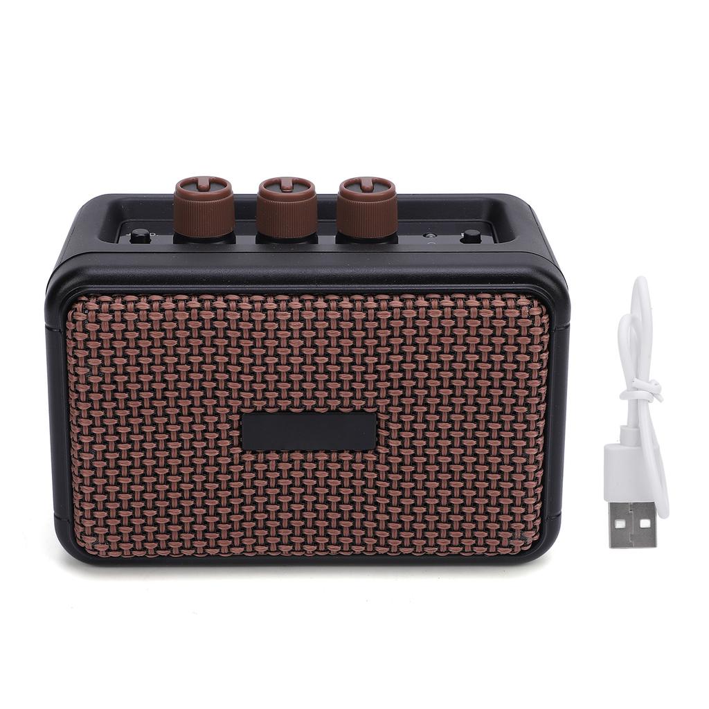 Electric Guitar Amplifier 6.35mm Interface Built in Double Speakers Bluetooth Portable Guitar Combo Amp