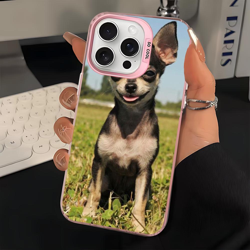 Cute Pet Chihuahua Dog Phone Case For IPhone 16 15 14 13 12 11 Pro Max X XR XSMAX 8 7 Plus Matte Shockproof Back Cover