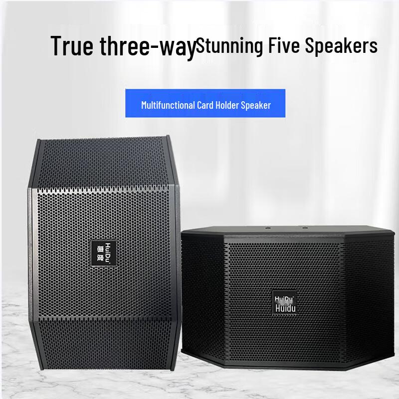 HUIDU FK-55 Professional 10-inch HIFI Speaker
