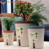 Doppelschichtiger selbstbewässernder Hydrokultur-Blumentopf aus Kunststoff, fauler automatischer wasserabsorbierender Pflanzentopf, Topfpflanzgefäße für das Büro zu Hause