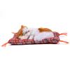 Sleeping Kid SimulationCatPlush Sound Toy Stuffed Doll Home Decoration (Yellow + White)