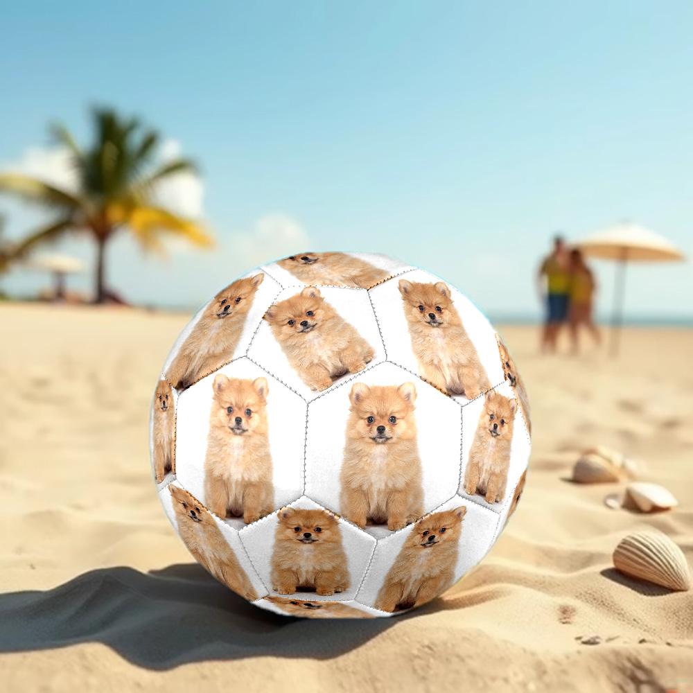 Cute Puppy Indoor Size 5 Soccer Ball Colorful Machine Stitched PVC Competition Ready Durable High-Bounce