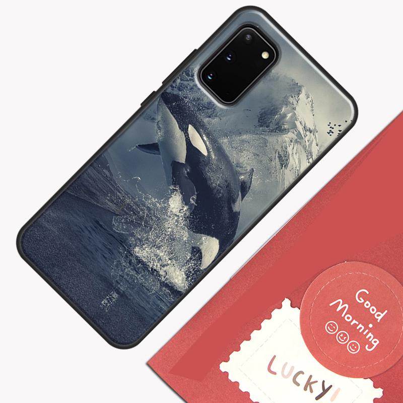 

Killer Whale Orca Phone Case For Samsung Galaxy S24 S26 Ultra S20 S21 S22 S23 S25 Plus S10 S25 FE Cover Shell Galaxy S23 FE