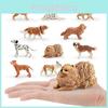 Pvc Puppy Model Dachshund Toy Figurine Animal Display For Kids And Collectors