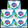 mint icy refreshing scent, 100g x 5-pack